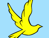 Disegno Colomba della pace in volo pitturato su ASSIA