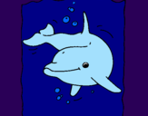 Disegno Delfino pitturato su delfinetto