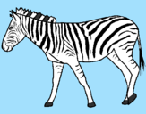 Disegno Zebra  pitturato su daiana