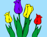 Disegno Tulipani  pitturato su iaia