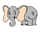 Disegno Piccolo elefantino  pitturato su anna