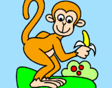 Disegno Scimmietta  pitturato su MAT TE O