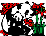 Disegno Mamma panda  pitturato su phil