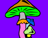 Disegno Funghi pitturato su fungo3