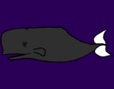 Disegno Balena blu pitturato su tirannosauro