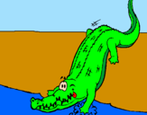 Disegno Alligatore che entra nell'acqua  pitturato su chiara