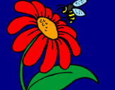Disegno Margherita con ape  pitturato su Bea