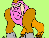 Disegno Gorilla pitturato su Manuel Zapata