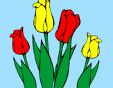 Disegno Tulipani  pitturato su sara