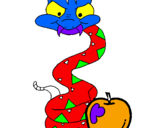 Disegno Serpente con la mela  pitturato su lorenzo