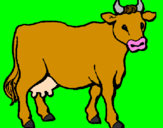 Disegno Mucca pitturato su bisonte simo