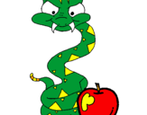 Disegno Serpente con la mela  pitturato su hassan