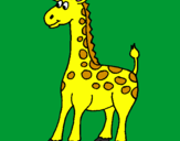 Disegno Giraffa pitturato su melman