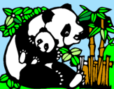 Disegno Mamma panda  pitturato su bibikol