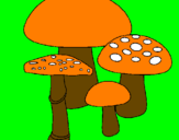 Disegno Funghi pitturato su SIMONE M