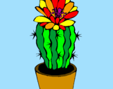 Disegno Cactus fiorito  pitturato su micky