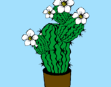 Disegno Fiori di cactus  pitturato su kiki9c