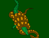 Disegno Anaconda e caimano  pitturato su france