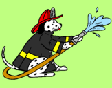 Disegno Dalmata pompiere  pitturato su sam ilpompiere