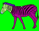 Disegno Zebra  pitturato su marty scricci