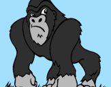 Disegno Gorilla pitturato su bat mem 