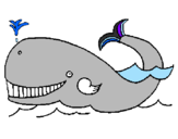 Disegno Balena  pitturato su ladana
