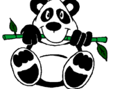 Disegno Orso panda  pitturato su MELA