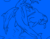 Disegno Delfini che giocano  pitturato su FILIPPO