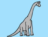 Disegno Branchiosauro  pitturato su MARCO