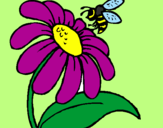 Disegno Margherita con ape  pitturato su Martina