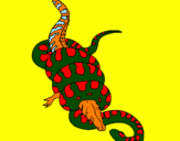 Disegno Anaconda e caimano  pitturato su LORENZO