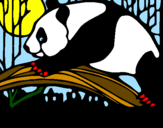 Disegno Oso panda che mangia  pitturato su Davide