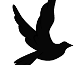 Disegno Colomba della pace in volo pitturato su cri