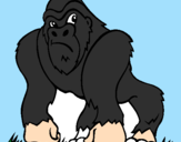 Disegno Gorilla pitturato su gennaro