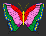Disegno Farfalla  pitturato su sharon 