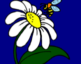 Disegno Margherita con ape  pitturato su GIORGIA