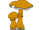 Disegno Funghi pitturato su beatrice4