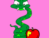 Disegno Serpente con la mela  pitturato su maurizio fuselli