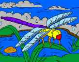 Disegno Libellula pitturato su paese libellula