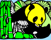 Disegno Orso panda con bambù  pitturato su TIZIO