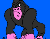 Disegno Gorilla pitturato su matte chiga