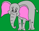 Disegno Elefante felice  pitturato su maurizio fuselli