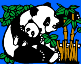 Disegno Mamma panda  pitturato su francesca