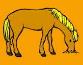 Disegno Cavallo che mangia  pitturato su Marty 01