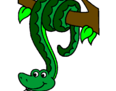 Disegno Serpente avvinghiata ad un albero  pitturato su MELA