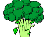Disegno Broccoli  pitturato su alessia