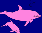 Disegno Delfini  pitturato su Gabriele