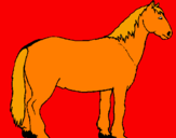 Disegno Cavallo tranquillo  pitturato su Camilla
