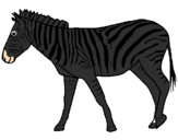 Disegno Zebra  pitturato su de rosa alessia