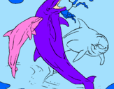 Disegno Delfini che giocano  pitturato su Gabriele